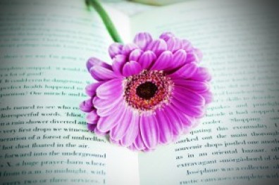 flower_on_the_book_212975